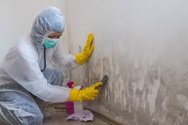 Best Forensic Mold Investigation in Williamsport, PA